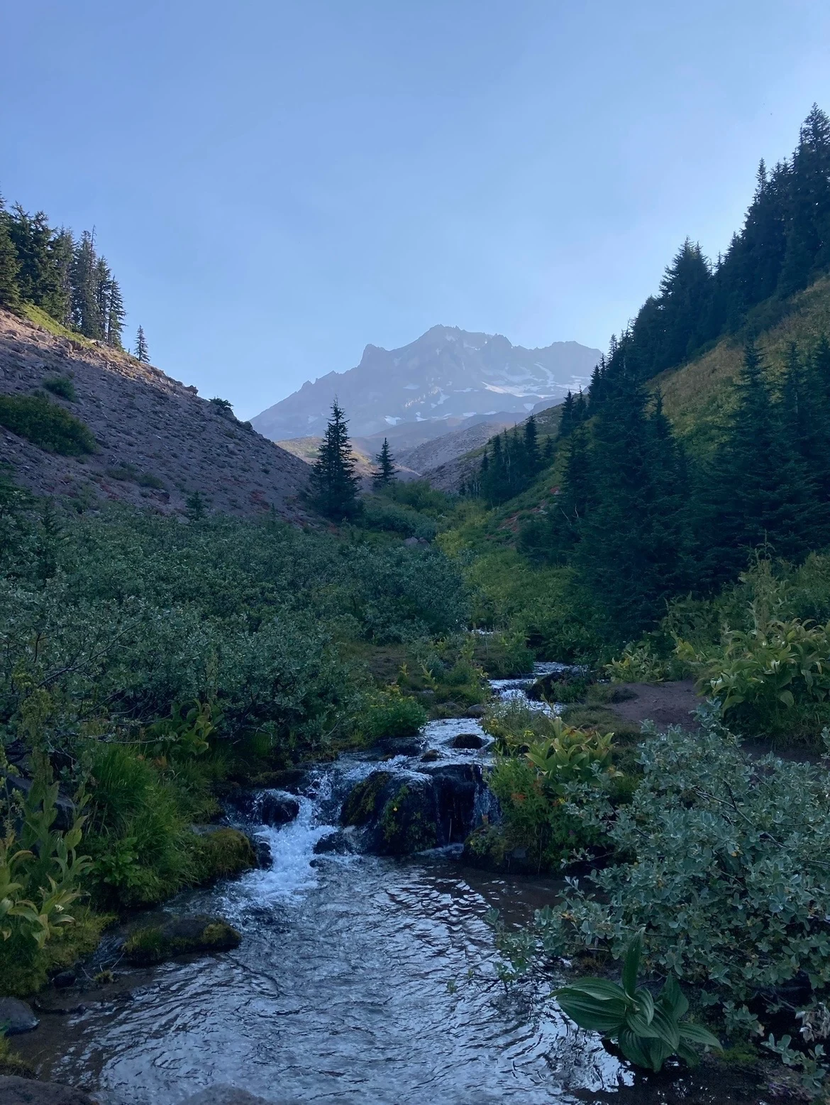 A mountain stream flowing through a green alpine valley